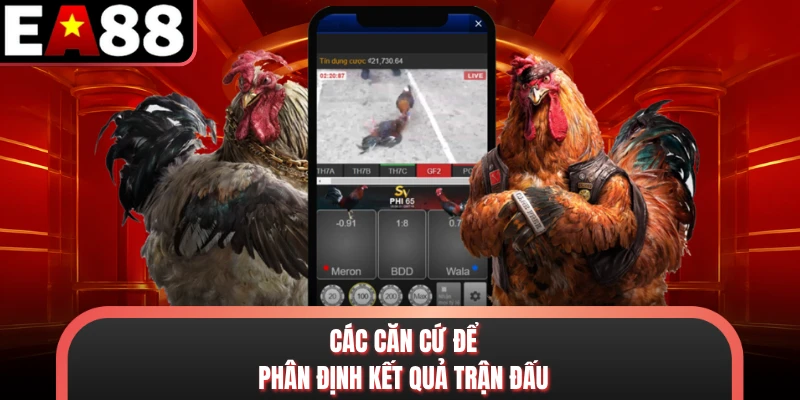 Các căn cứ để phân định kết quả trận đấu