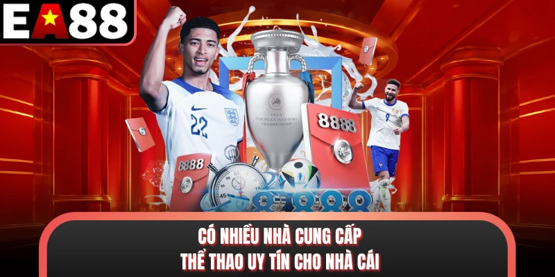Có nhiều nhà cung cấp thể thao uy tín cho nhà cái