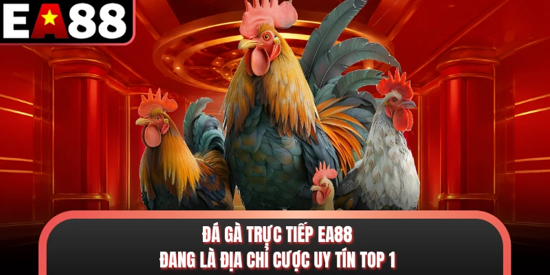 Đá gà trực tiếp EA88 đang là địa chỉ cược uy tín top 1