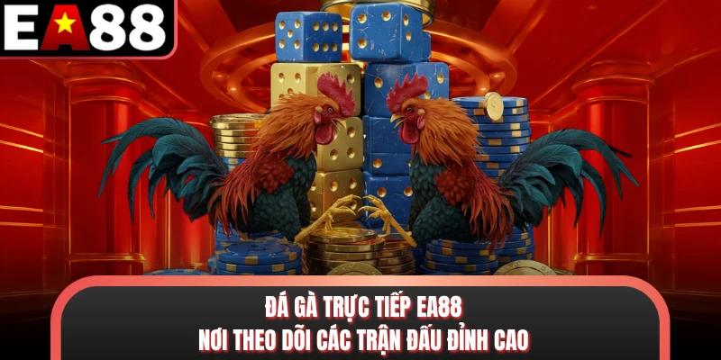 Đá Gà Trực Tiếp EA88 - Nơi Theo Dõi Các Trận Đấu Đỉnh Cao
