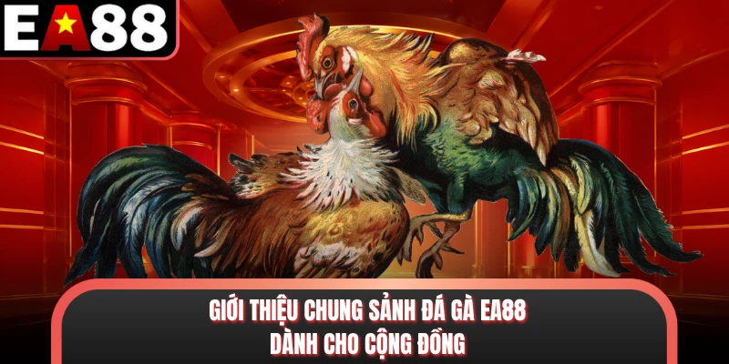Giới thiệu chung sảnh đá gà EA88 dành cho cộng đồng