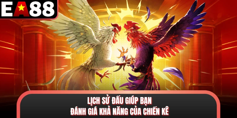 Lịch sử đấu giúp bạn đánh giá khả năng của chiến kê