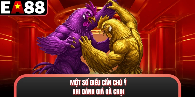 Một số điều cần chú ý khi đánh giá gà chọi