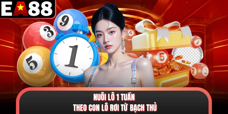 Nuôi lô 1 tuần theo con lô rơi từ bạch thủ